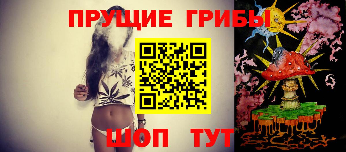 Галлюциногенные грибы Cubensis Краснознаменск