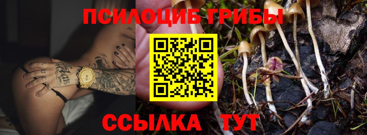 Краснознаменск  Псилоцибиновые грибы прущие грибы  Псилоцибиновые грибы Psilocybine cubensis  Вход с VPN 