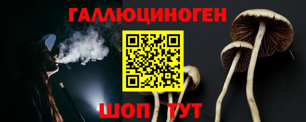 Галлюциногенные грибы мухоморы  Краснознаменск 