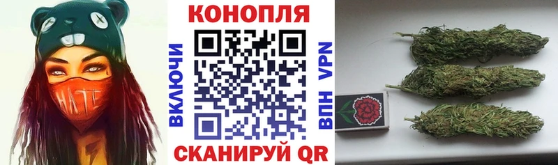 Бошки марихуана White Widow  продажа наркотиков  Краснознаменск 