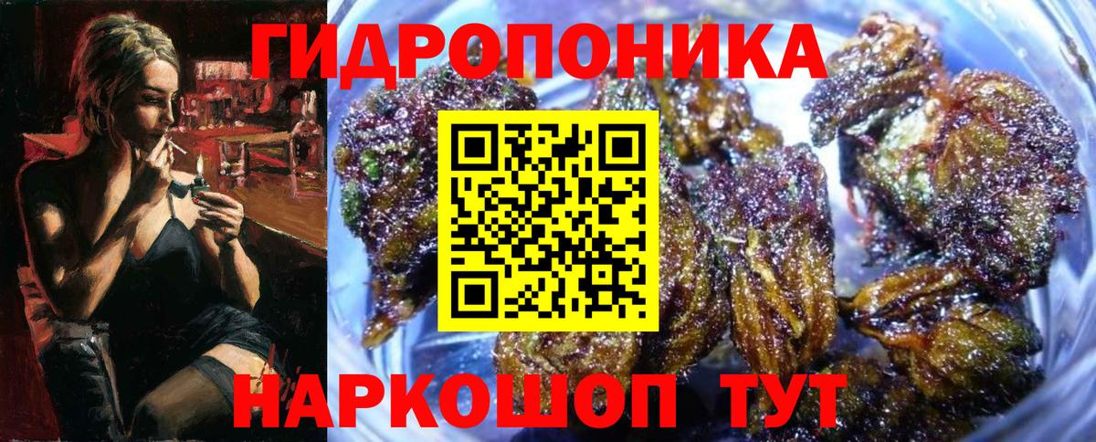 МАРИХУАНА план  Краснознаменск  Бошки Шишки AK-47  Конопля OG Kush 